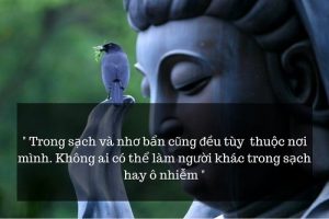 Những Stt Về Lời Phật Dạy Đầu Quý Giá Mà Bạn Không Nên